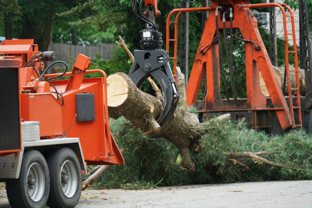 Leaf Removal in Ebensburg, PA